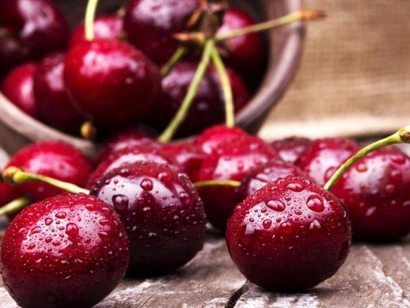 Вишня купить саженцы из питомника в Чистополе